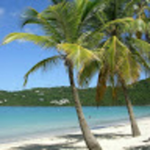 Meet your Posher, Vickie - Picture 1 of 1